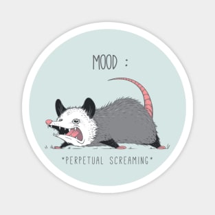 Mood Possum Magnet